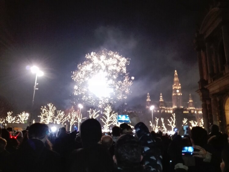 Bulinegyeddé vált Bécs belvárosa szilveszter éjjel 