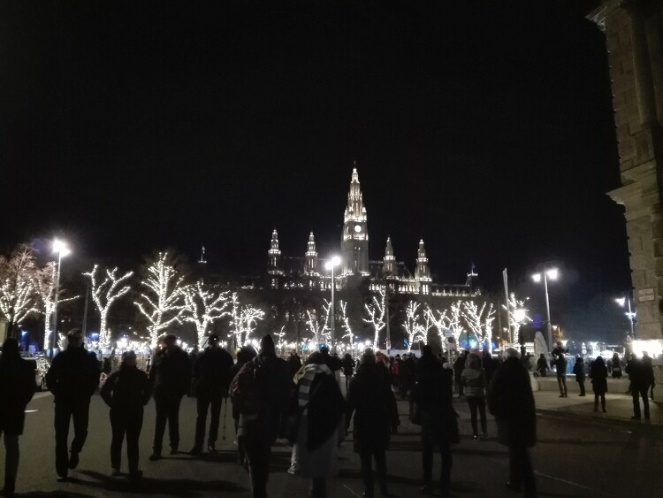 Bulinegyeddé vált Bécs belvárosa szilveszter éjjel 