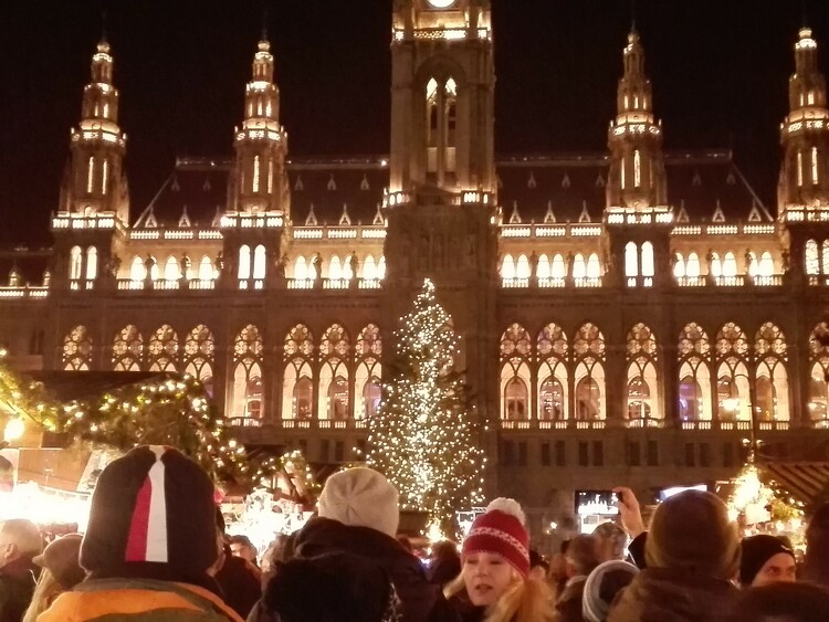 Bulinegyeddé vált Bécs belvárosa szilveszter éjjel 