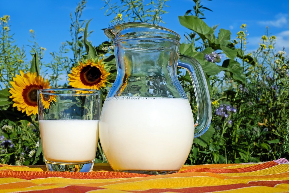 Szennyezett tej ügy - Itt a visszavonásban érintett tejtermékek és üzletek listája