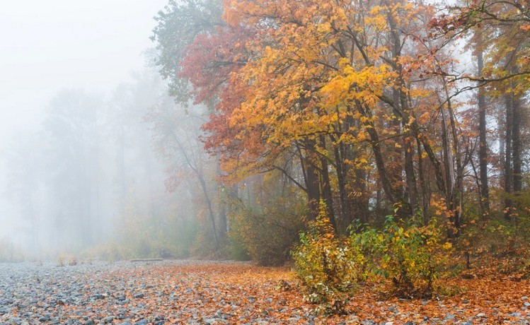 Az idei őszön kevesebbet sütött a nap