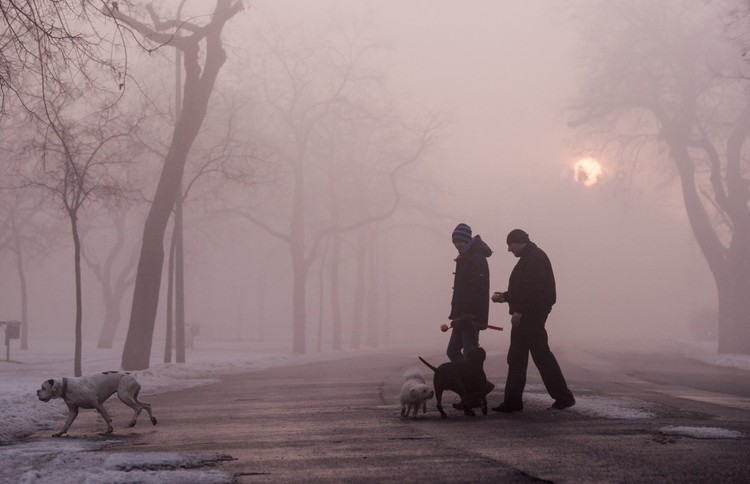 Időjárás-előrejelzés - Sűrű köd miatt figyelmeztetést adtak ki hat megyére