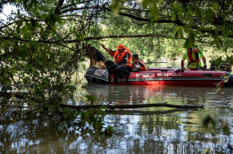 Dunai hajóbaleset - Dunaújvárosnál kutyákkal is keresik az áldozatokat 