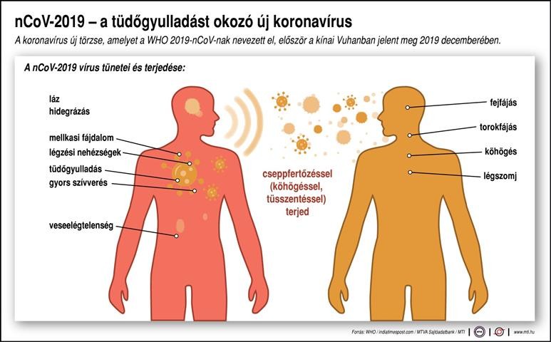 Koronavírus - Ezt tegye, ha elkerülné a tüdőgyulladást okozó kínai vírust