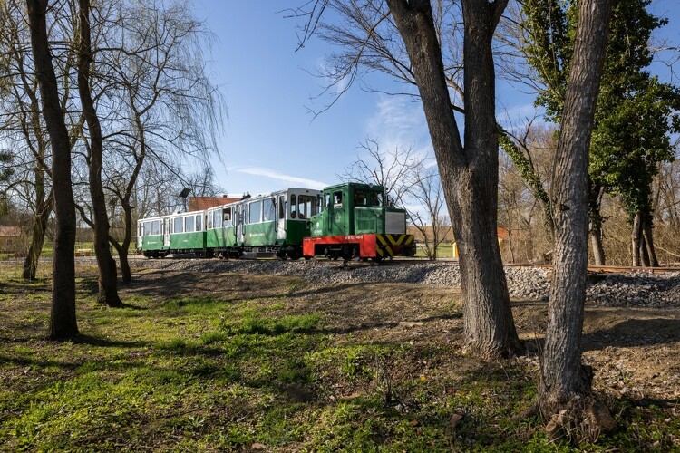 Az Almamelléki Állami Erdei Vasút indul Almamellékről 2023. március 18-án. 