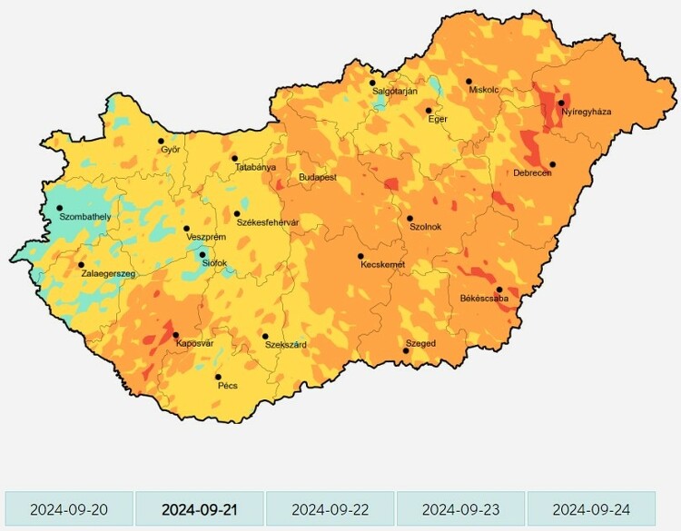 Parlagfű pollenterhelés - 2024. szeptember 5., szerda