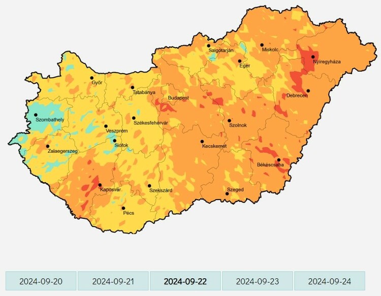 Parlagfű pollenterhelés - 2024. szeptember 6., csütörtök