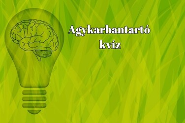 Zsenimérő agykarbantartó kvíz - A kiváló eredményhez legalább hat helyes válasz kell