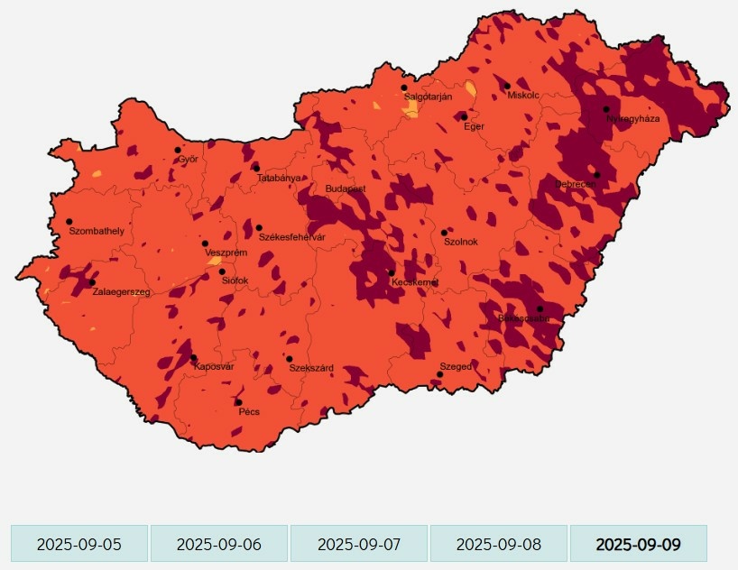 Tart a parlagfű csúcsszezon: egyre súlyosabb panaszokat okozhat a pollen