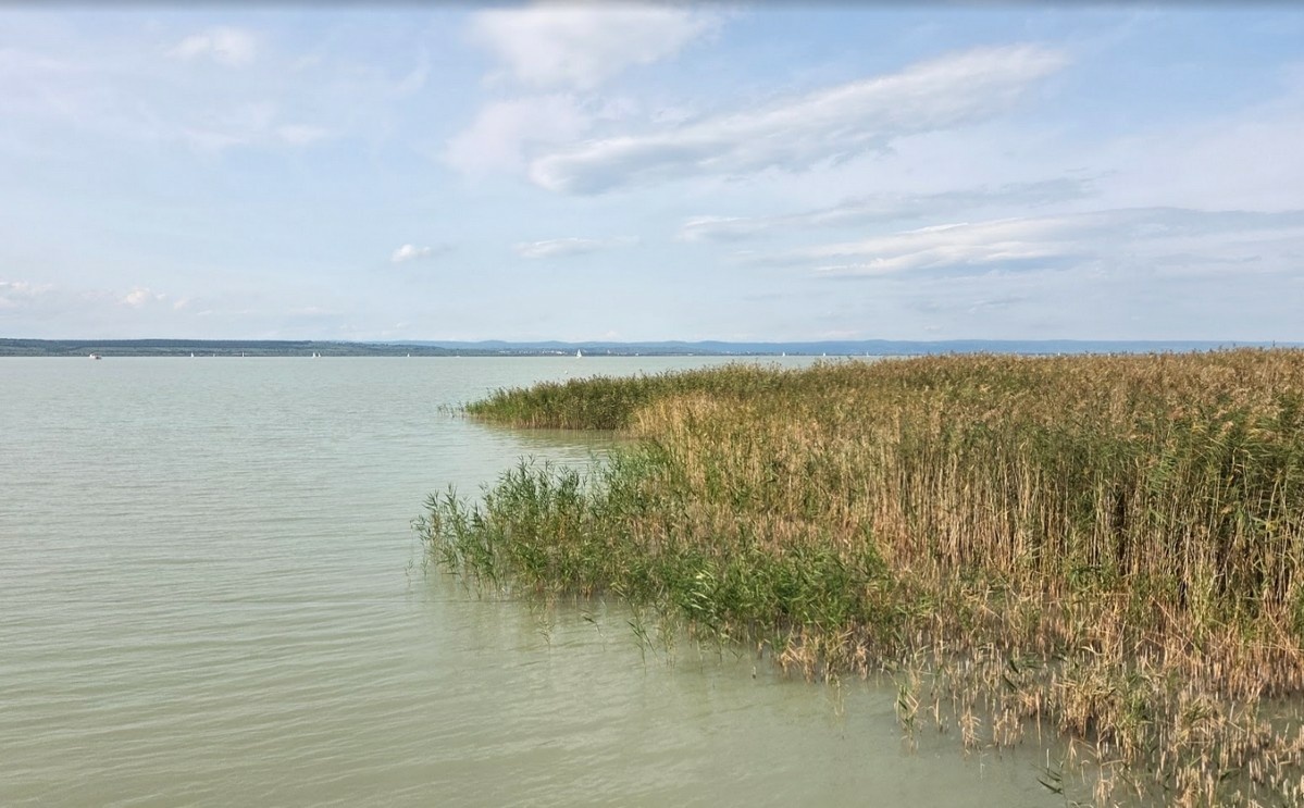 Horgászat és nádasvédelem a Balatonnál: új kikötőfejlesztés Keszthelyen
