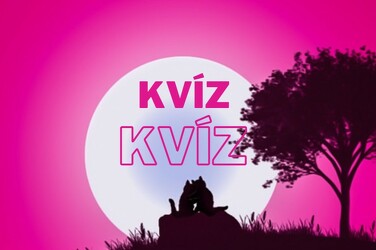 Napi kvíz - 8 kérdésből 6 helyes válasz, ennyi kell ahhoz, hogy bebizonyítsd: te vagy a kvízkirály!