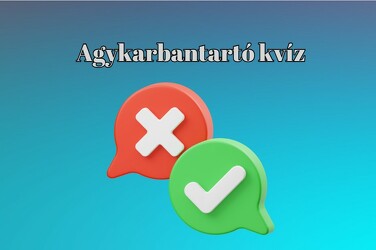 Agykarbantartó - A kiváló eredményhez legalább hét helyes válasz kell. Neked is megy majd