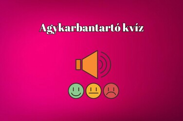 Kvíz - Most ezt a zsenimágnest állítottuk össze, hogy lazíts egy kicsit