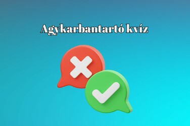 Agykarbantartó kvíz - Ha kérdések 75 %-ra helyesen válaszolsz, egy zseni vagy