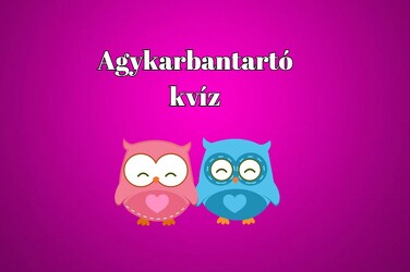 Kvíz - Ezt az agykarbantartót nektek készítettük. Nem fog csalódást okozni