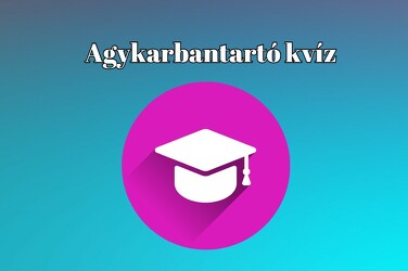 Agykarbantartó kvíz - Nem múlhat el a nap a legnépszerűbb napi kvízfajtánk nélkül