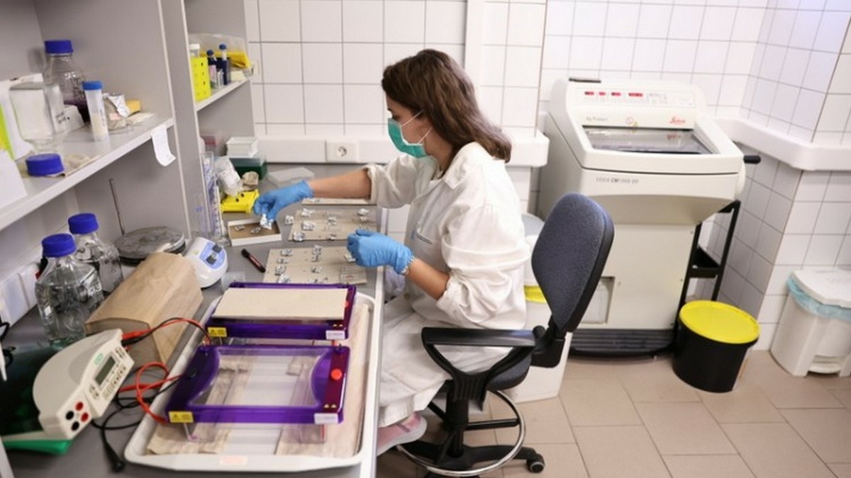 Felvételi 2026: Rekordszámú, több mint 7300 hallgatót vett fel az SZTE