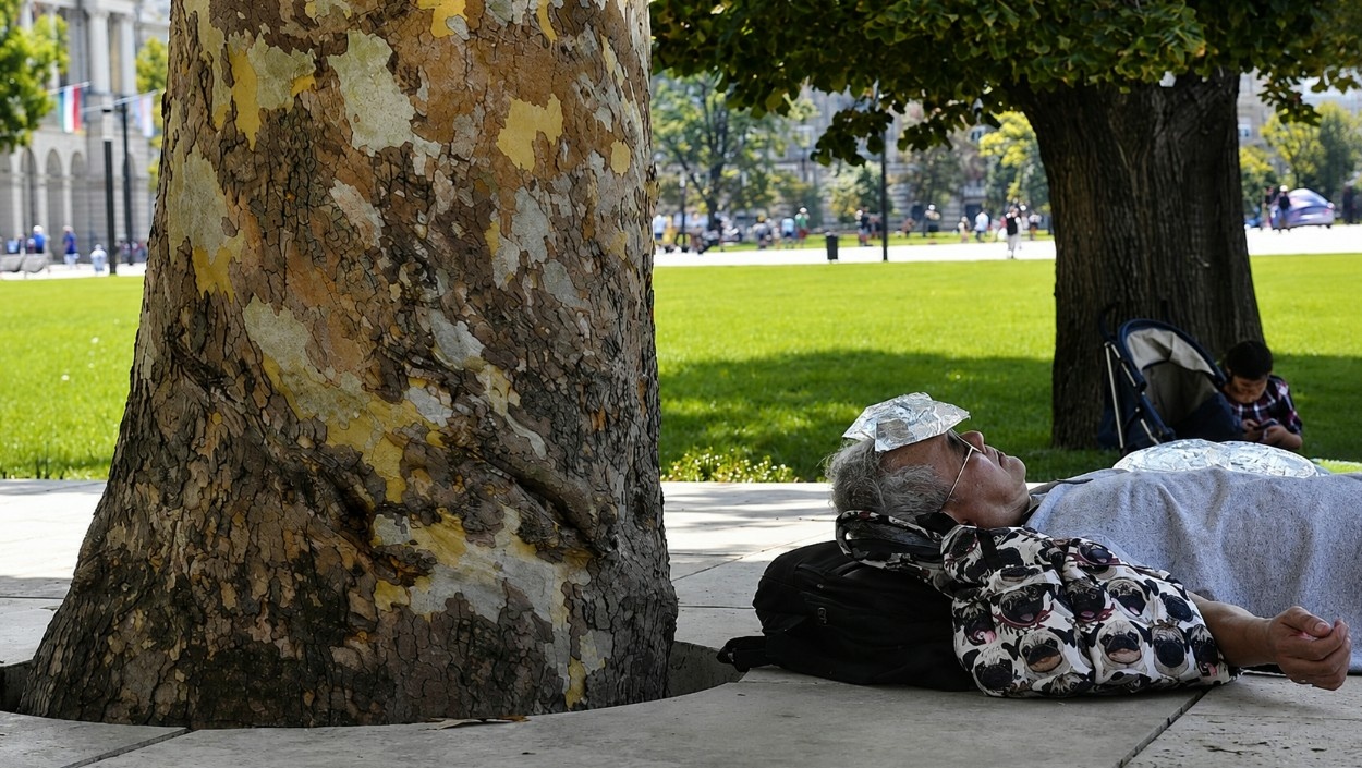 Hőségriadó: erre figyelmeztet az országos tisztifőorvos, akár életet is menthet