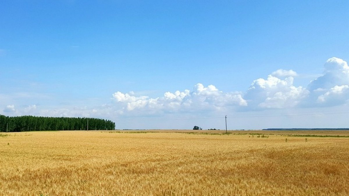 Átalakulhat a föld- és a vadászati törvény is