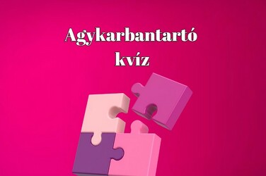 Zseniális zsenimágnes - Sokan 7 jó válasznál többet nem adnak ezekre a kérdésekre
