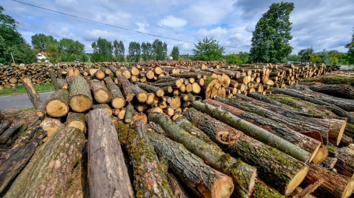 Új szabály jön az állami tűzifánál, a lakossági árakat is érinti