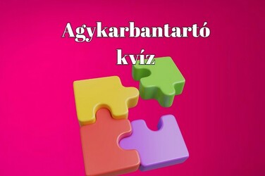 Itt a friss zsenimágnes - Sokrétű tudásról kell tanúbizonyságot adnod ebben a napi kvízben