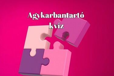 Zsenimágnes érkezett - Egy friss napi kvíz, 8 kérdés a Hortobágytól Addisz-Abebáig