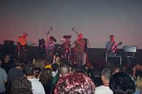 Anima-koncert a Savaria moziban