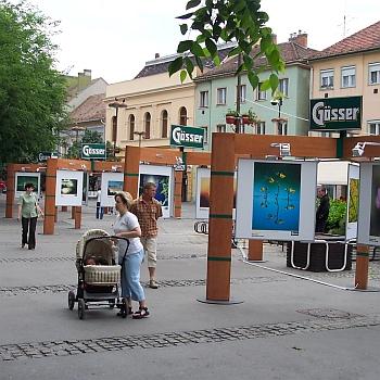 Gösser-természetfotók a Fő téren