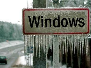 Windows in winter