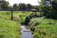 Kis-Balaton a Perinten