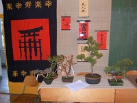 Bonsai