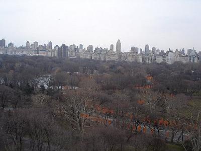Christo: Gates in New York