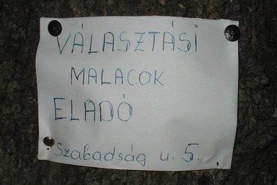 Hungarikumok