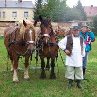  Tudom&aacute;nyos k&iacute;s&eacute;rlet Szombathelyen