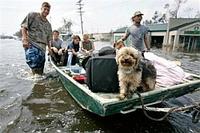Katrina hurrikán és New Orleans