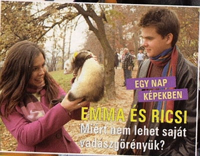 Barátok közt magazin