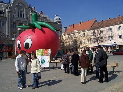 Gonosz paradicsom a Fő téren