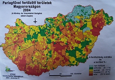 Magyarországi parlagfű térkép Parlagfű térkép