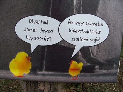 Bloomsday 2006