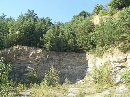 Cák