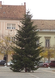 Karácsonyvárás Szombathelyen