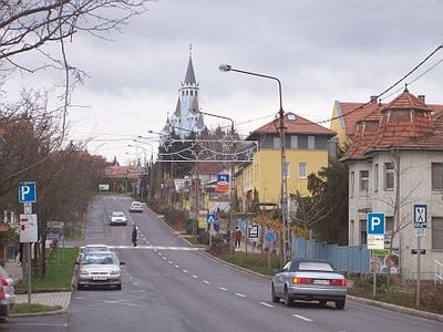 Hévíz télen - Tavirózsák az óriásszállodák árnyékában