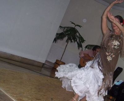 2006. elrontott képes krónikája