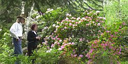 Kámoni Arborétum