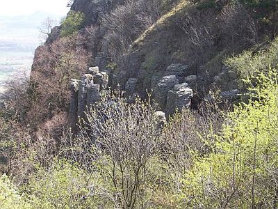 Bazaltorgonák