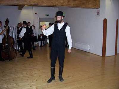 A karnevál bora