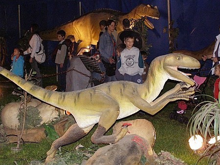 Dino Expo