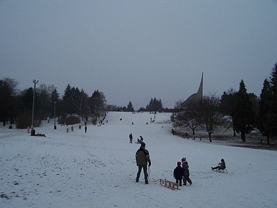 Műhó