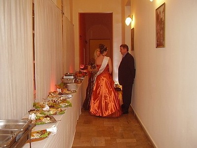Megyebál 2008